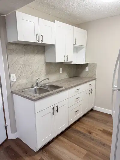 This gorgeous 2 bedroom basement suite is newly renovated. New kitchen, floors and newer bathroom as...