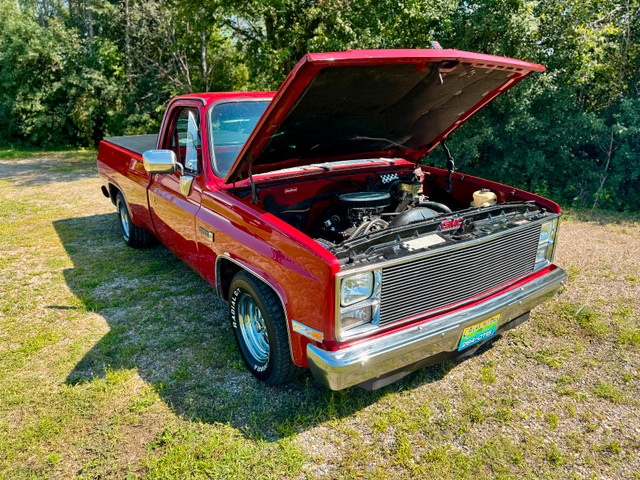 1983 GMC Truck Sierra 1500 Longbox in Cars & Trucks in Ottawa - Image 3