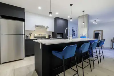 Beau 4 1/2 neuf - écoquartier de la Pointe-aux-Lièvres à Québec-