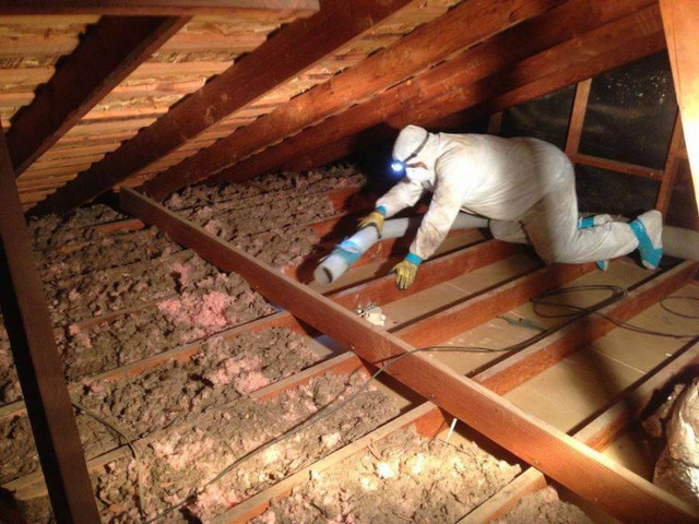 Attic insulation and removal (blow in) in Insulation in City of Toronto - Image 4