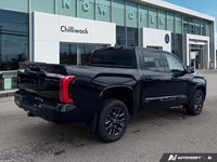 Only 200 Miles! This Toyota Tundra delivers a Twin Turbo Regular Unleaded V-6 3.4 L/210 engine power... (image 4)