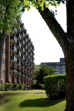 Bachelors / Studios - HEATED for rent in  West Island Montreal 4