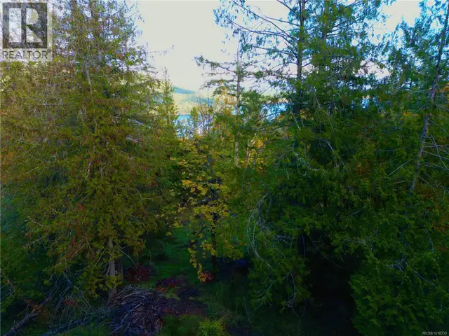 148 Meadow Dr Salt Spring, British Columbia in Houses for Sale in Fort McMurray - Image 7