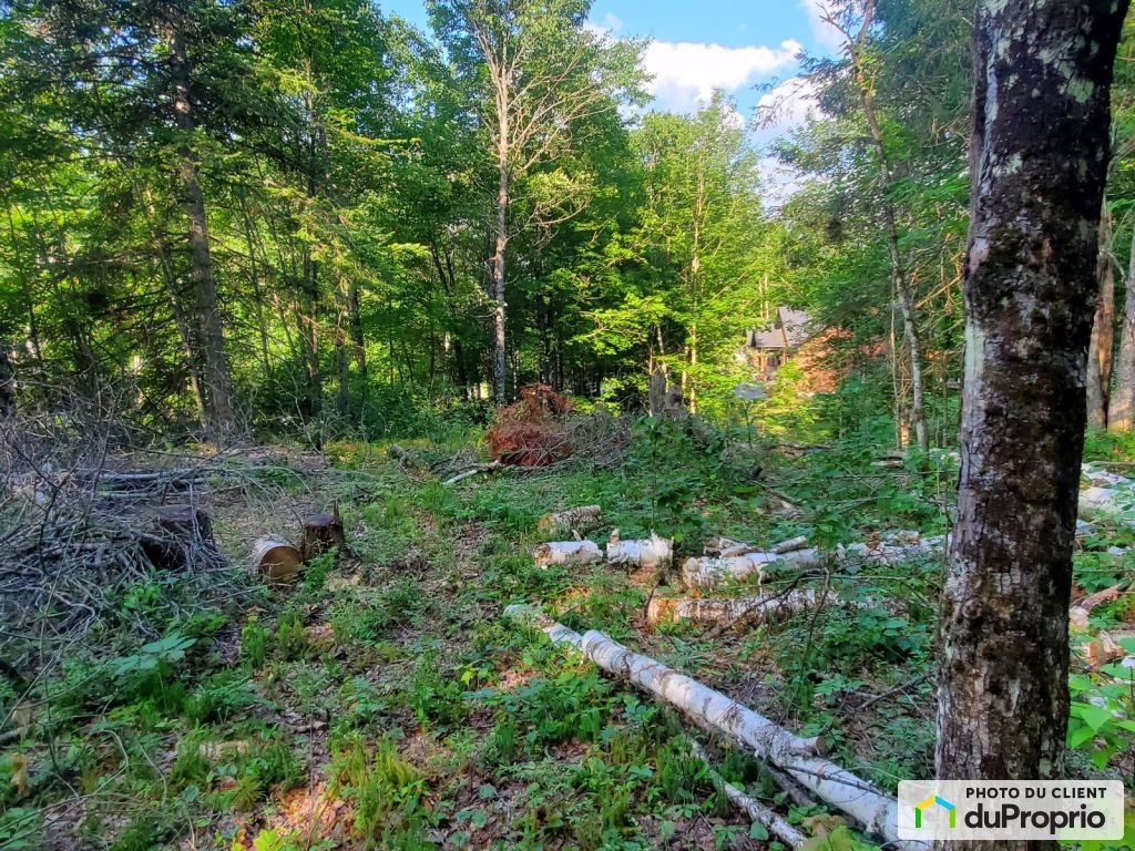 $136,000 - Residential Lot for sale in La Conception — photo 2