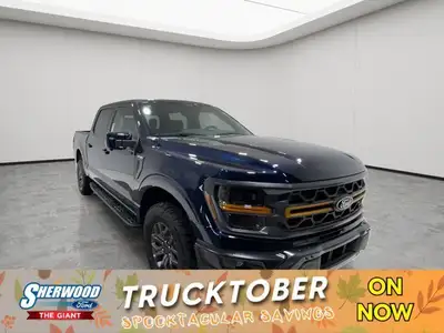 TWIN PANEL MOONROOF, EQUIPMENT GROUP 402A HIGH, B&O UNLEASHED SOUND SYSTEM, ADVANCED SECURITY PACK,...