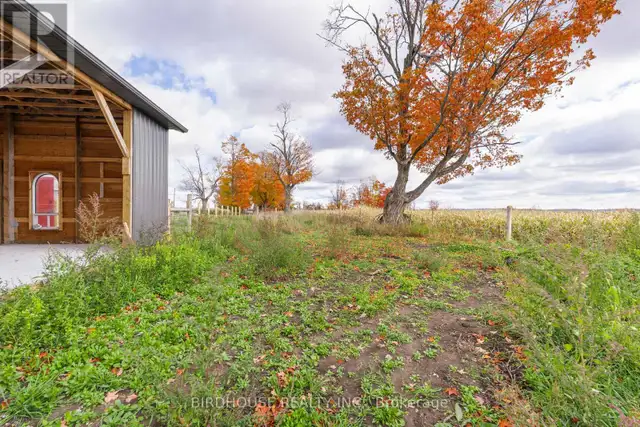 94 HILLHEAD ROAD Kawartha Lakes (Ops), Ontario in Long Term Rentals in Peterborough - Image 38