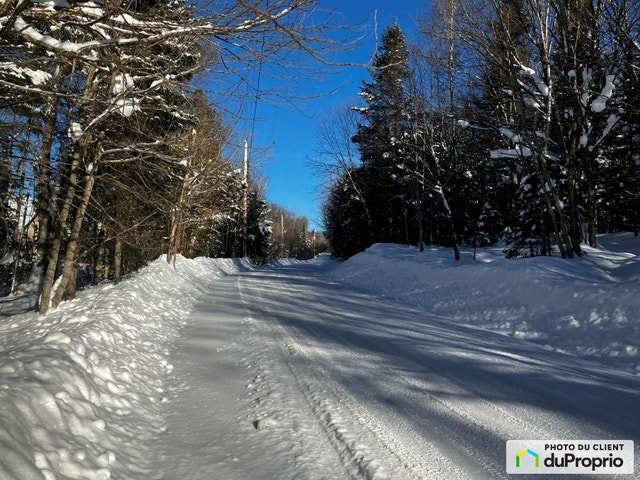 $719,000 - Land to be developed for sale in Lac-Saguay — photo 1