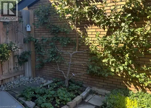 296 WEBER Street E Kitchener, Ontario in Houses for Sale in Kitchener / Waterloo - Image 41