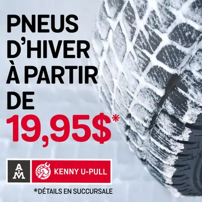 C'est presque la période de lannée. Êtes-vous prêt pour l'hiver ?! Prenez de lavance sur la tempête...