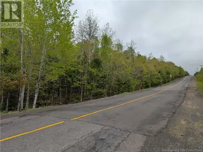 This 7.4-acre parcel of land for sale is filled with plenty of hardwood and is just minutes away fro...