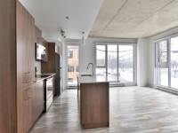 GRAND Condo appartement 5 1/2 a louer-2 sdb-parc Jarry/Mile-Ex