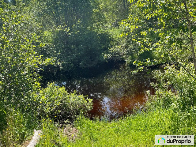 230 000$ - Prix taxes en sus - Terre à bois à vendre à Disraeli dans Terrains à vendre  à Thetford Mines - Image 2