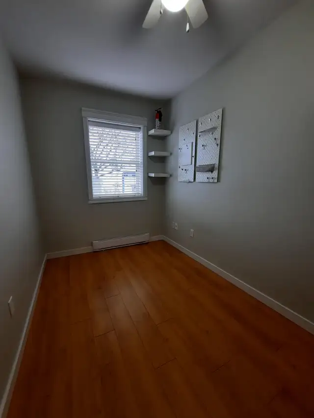 25 Harding St in Long Term Rentals in Saint John - Image 6