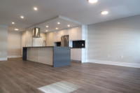 Newly Renovated 3 Bedroom 2 Bath in Yorkville on Bloor