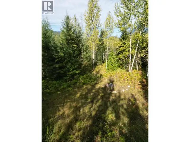 387 GALENA SHORES Drive Galena Bay, British Columbia in Land for Sale in Nelson - Image 15