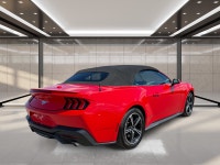 2025 Ford Mustang EcoBoost Sporty, stylish, and built to deliver an exciting driving experience, thi... (image 3)