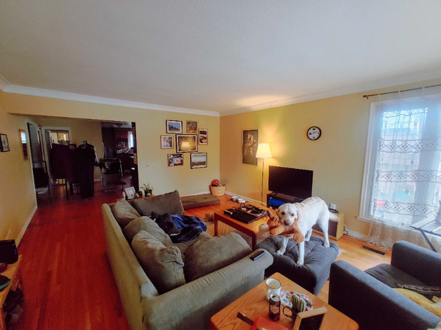 THREE BEDROOM, CENTRAL KINGSTON APARTMENT - 581-1 Portsmouth Ave in Long Term Rentals in Kingston - Image 4