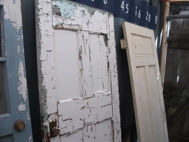 Vintage Wooden Doors in Windows, Doors & Trim in Belleville - Image 5