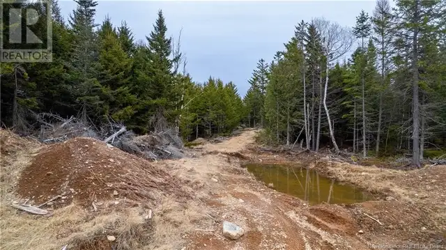 0 Lobster Pound Road Hersonville, New Brunswick in Land for Sale in Saint John - Image 20