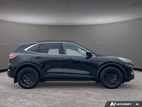This Ford Escape delivers a Intercooled Turbo Premium Unleaded I-4 2.0 L/122 engine powering this Au... (image 6)
