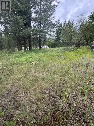 In the heart of recreation country! 1/2 acre, not zoned, not in the ALR - So dream - Or small! Here...