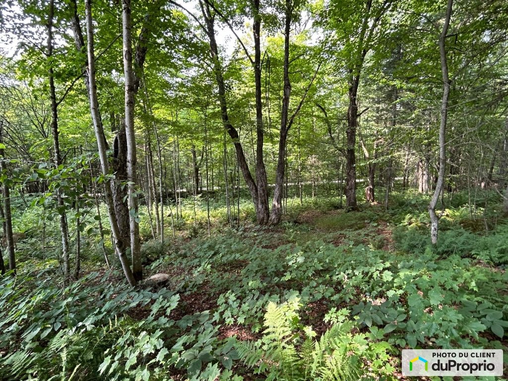 $208,000 - Residential Lot for sale in Ste-Catherine-de-la-JC — photo 3