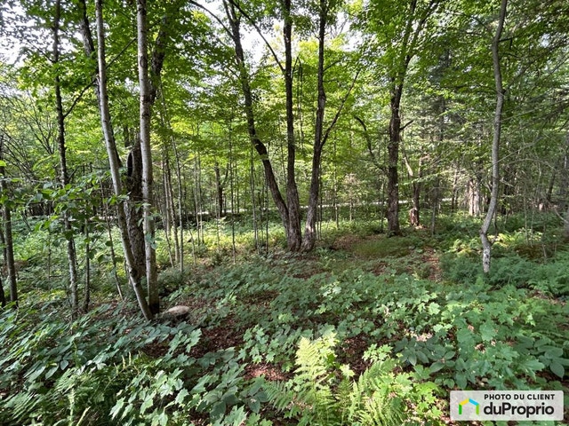 $189,000 - Residential Lot for sale in Ste-Catherine-de-la-JC — photo 3