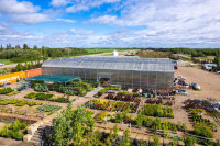 Well Established Greenhouse for Sale - Lloydminster, Sask