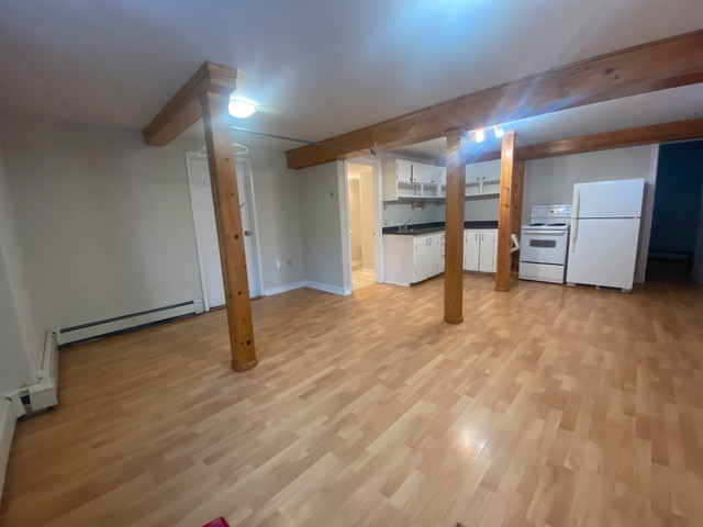 CHARMING 1 BED 1 BATH BASEMENT UNIT AVAILABLE NOW! in Long Term Rentals in City of Halifax - Image 4