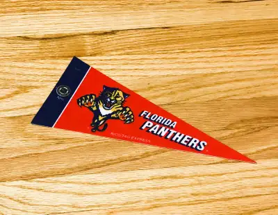 Vintage Florida Panthers Mini Pennant, View more
