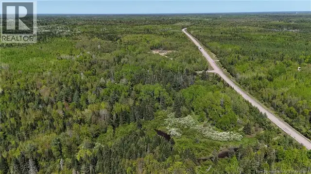 LOT Dargavels Road Bass River, New Brunswick in Land for Sale in Moncton - Image 11