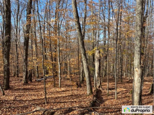 $139,000 - Residential Lot for sale in Labelle — photo 1