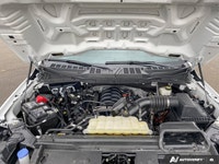 The 2024 Ford F-150 STX in a striking white finish is the perfect blend of power and practicality. I... (image 9)