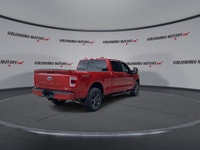 // ACCIDENT FREE!! // // SINGLE OWNER! // Finished in red with a black interior, this 2023 Ford F-15... (image 7)