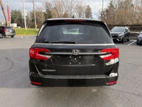 Certified. EX-L|Leather|Sunroof|CarPlay 2024 Honda Odyssey EX-L EX-L|Leather|Sunroof|CarPlay Crystal... (image 5)