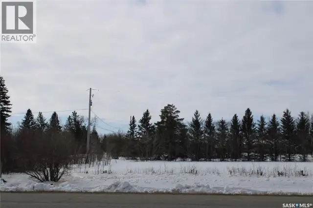 730 Broadway STREET W Orkney Rm No. 244, Saskatchewan in Land for Sale in Regina - Image 4