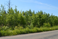 Lot 6 Middlesex RD Colpitts Settlement  3.72 Acres $29,900
