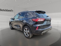 **Strickland's is home of the Hassle-Free car shopping experience. We make car buying fun, find your... (image 3)