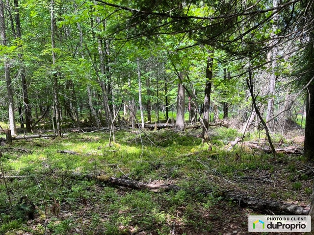 $192,000 - Residential Lot for sale in Riviere-Rouge — photo 2