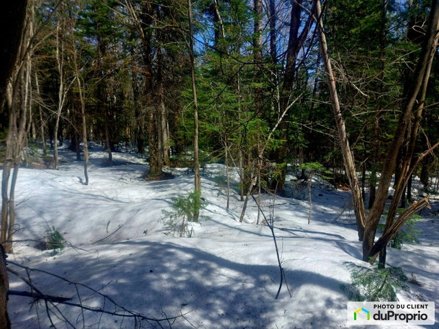 $45,000 - Residential Lot for sale in Petite-Riviere-St-Francois — photo 3
