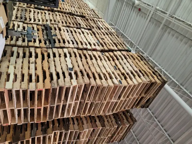 Great Pallets for sale in stock ready now real PHOTOS FROM US in Other in Mississauga / Peel Region - Image 3