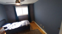 Room for Rent-Student or working Person-Yonge/ Lawrence Toronto