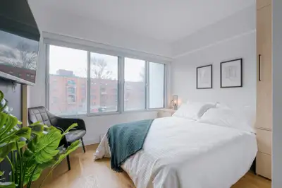 Plusieurs unités meublés et tout inclus dans le quartier Saint-Jean-Baptiste. Cet immeuble en béton...