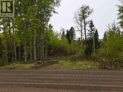 Just minutes from beautiful Rail Lake, this 11.68-acre parcel offers a rare blend of natural beauty,...