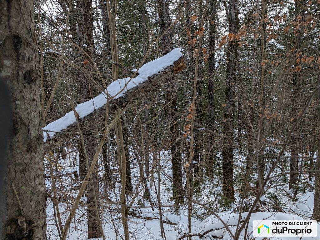 $100,000 - Residential Lot for sale in Ste-Beatrix — photo 2