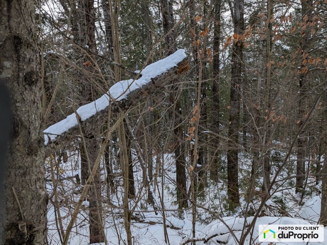 $100,000 - Residential Lot for sale in Ste-Beatrix — photo 2