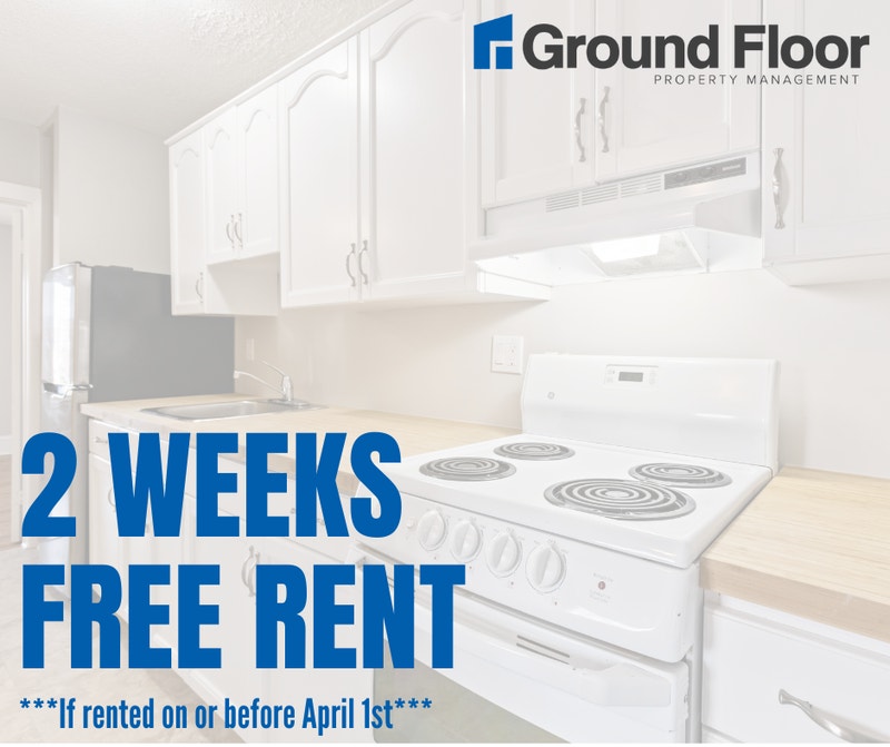 32 MACALEESE 2 BED CENTRAL MONCTON AVAIL NOW 2 WEEKS FREE!! Long