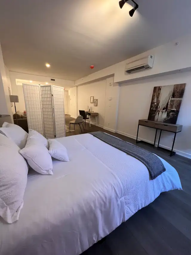 For rent - Studio - Old port/Griffintown - 1 MONTH FREE63005668841859122