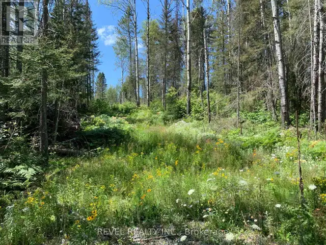 PCL8547 HWY 101 HIGHWAY W Timmins (TCTDAR Outside), Ontario in Land for Sale in Timmins - Image 28