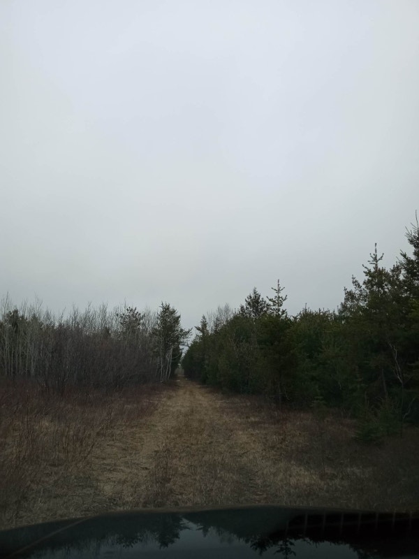 terrain a vendre NB Land for Sale Bathurst Kijiji